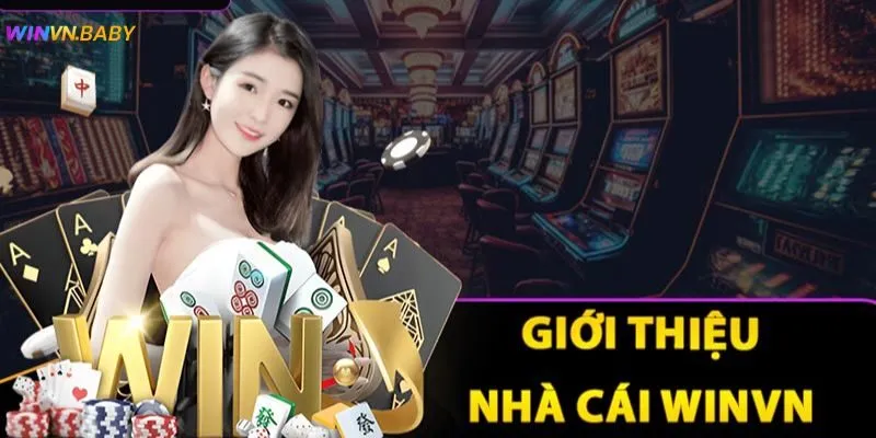 Thông tin tổng quan giới thiệu về thương hiệu Winvn