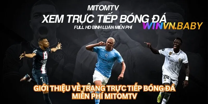 Giới thiệu về trang trực tiếp bóng đá miễn phí Mitomtv